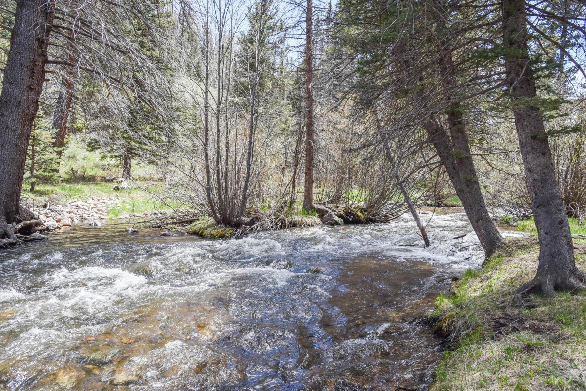 Bear Bait Cabin In Upper Valley With High Speed Wifi Red River Εξωτερικό φωτογραφία