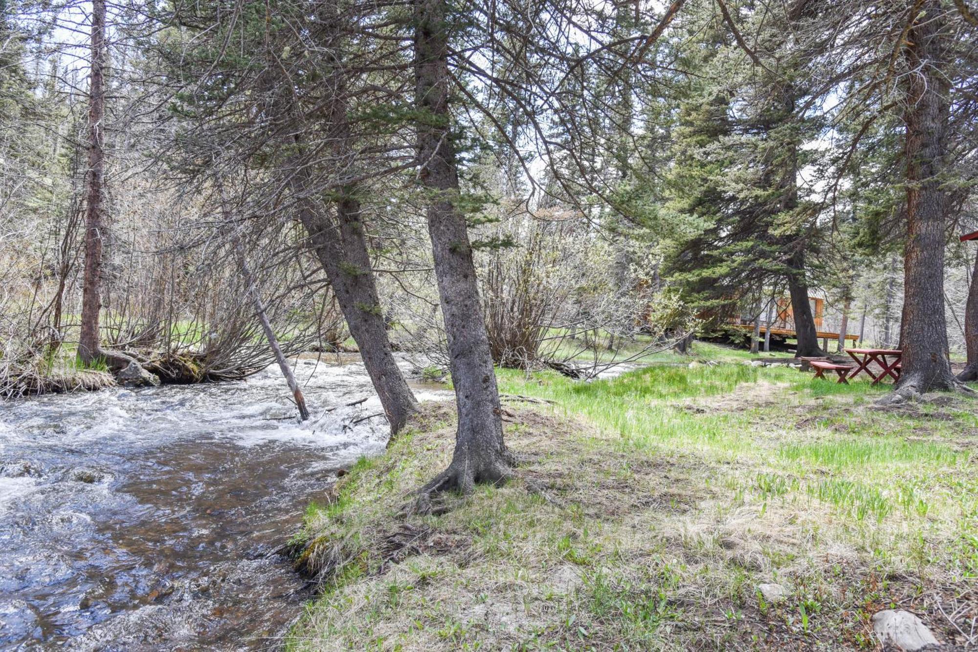 Bear Bait Cabin In Upper Valley With High Speed Wifi Red River Εξωτερικό φωτογραφία